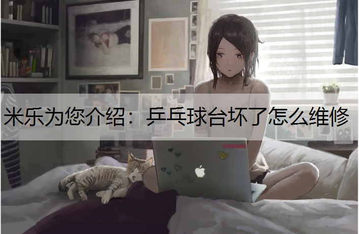 <strong>米乐为您介绍：乒乓球台坏了怎么维修</strong>