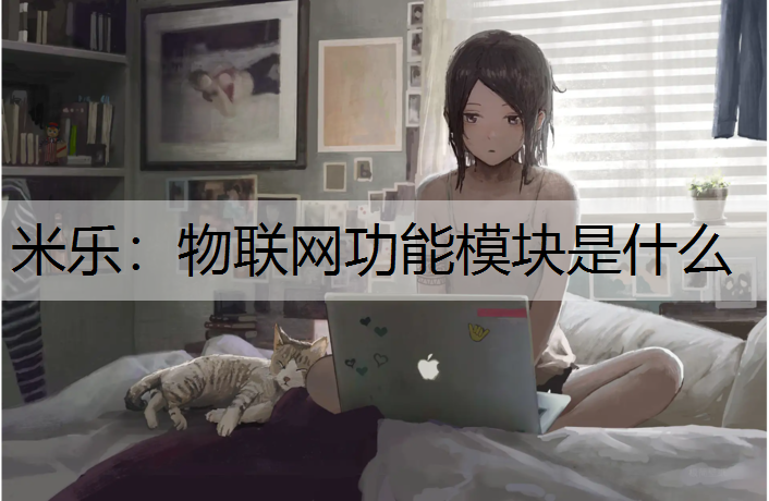 物联网功能模块是什么