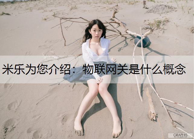 物联网关是什么概念