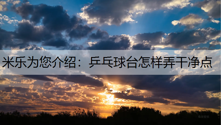 乒乓球台怎样弄干净点 乒乓球台怎样弄干净点