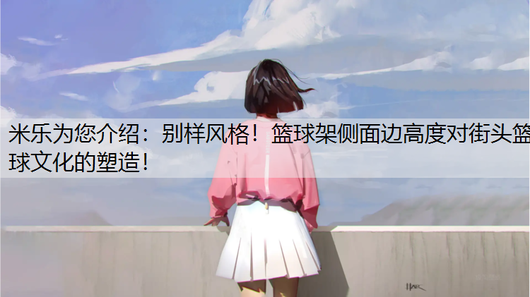 别样风格！篮球架侧面边高度对街头篮球文化的塑造！